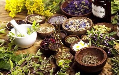 Herbs for the increase in penis