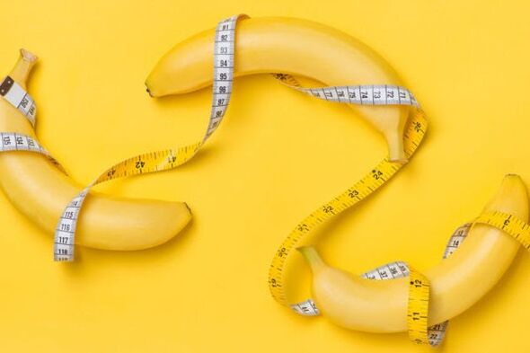 Penis Dimensions