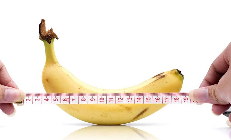 Refusal effect of the penis length