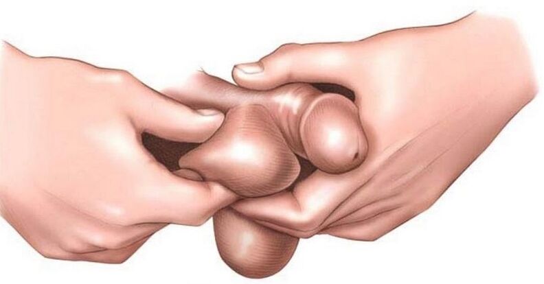 Why do men scab the eggs