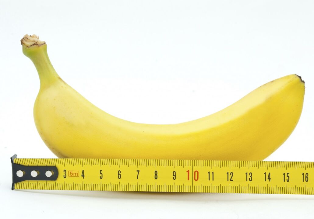 Normal penis size